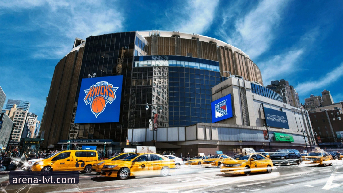 如何通过TVT体育官网下载，开启专业体育体验之旅？