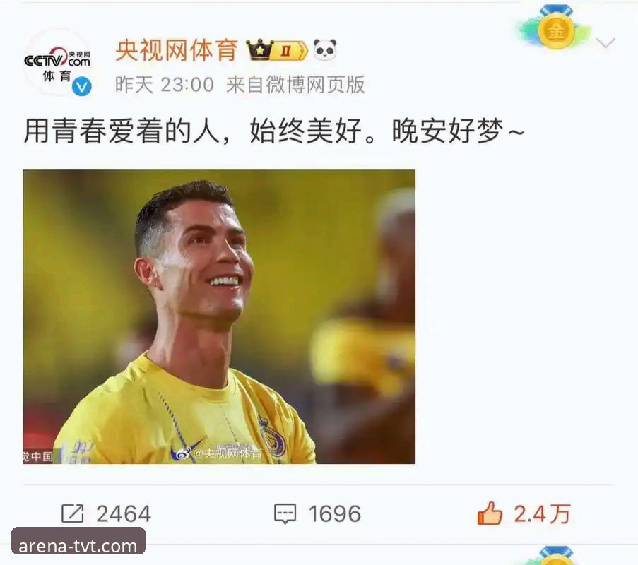 TVT体育靠谱吗 TVT体育平台真的靠谱吗?专业视角下的深度解析