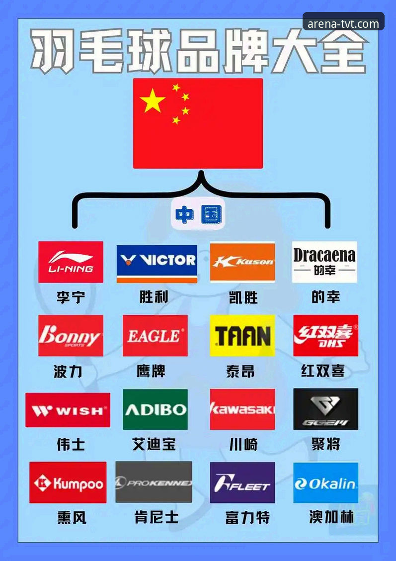 TVT体育平台赛事支持全面解析：从热门到冷门，一文读懂覆盖范围